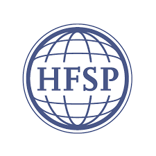 logo hsfp